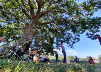 Relazioni dei gruppi in natura: immersioni in foresta