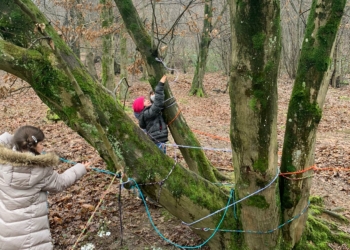 Pedagogia EcoSomatica; apprendere attraverso il sistema limbico in sala ed in natura